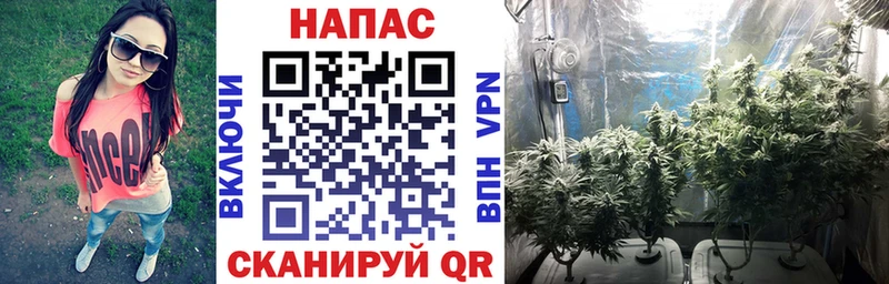 Шишки марихуана индика  Уржум 